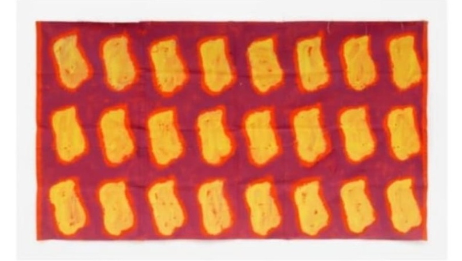 Sans titre — Claude Viallat