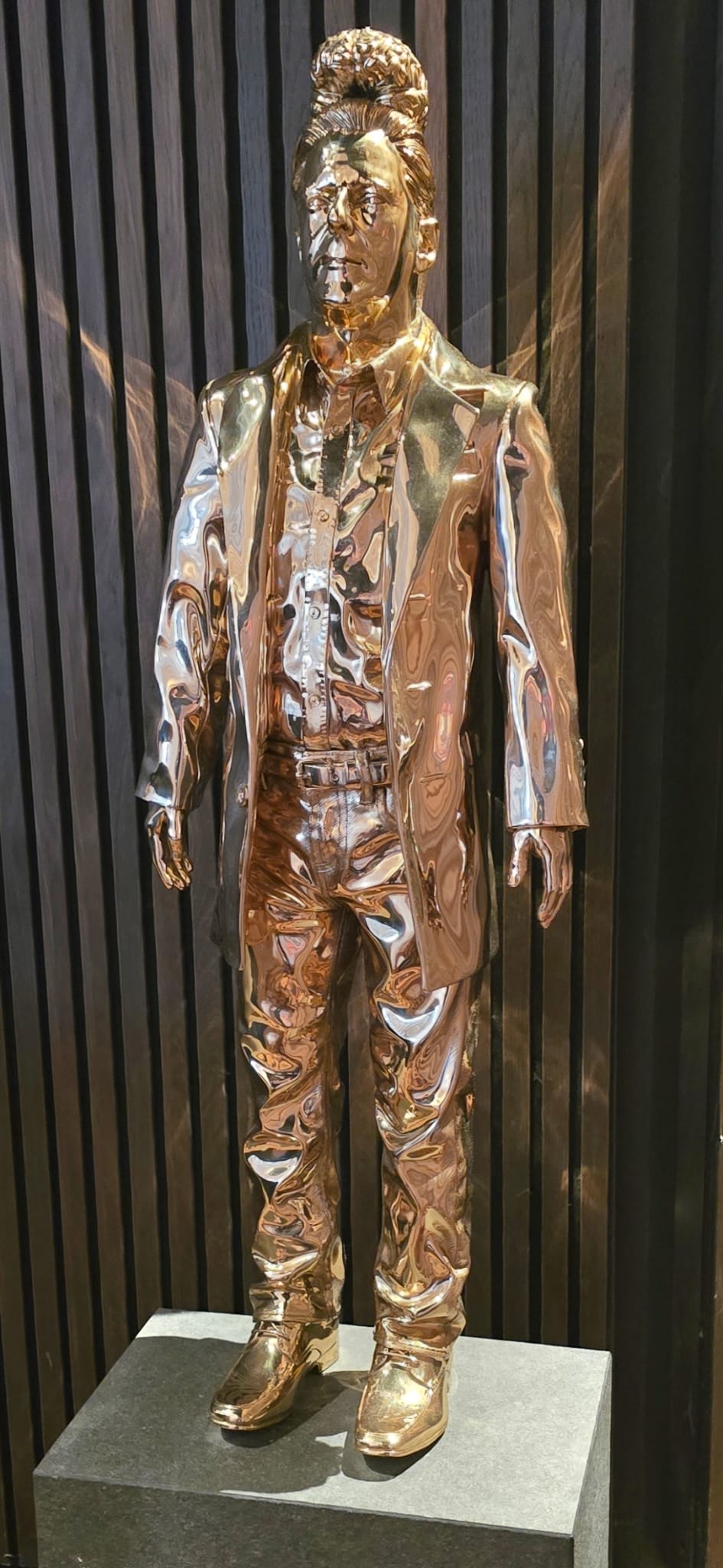L'homme au cerveau — Jan Fabre