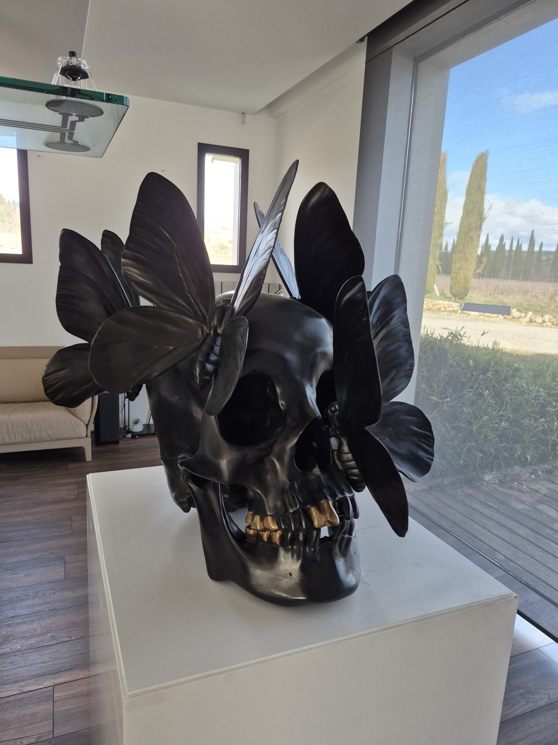 Vanité — Philippe Pasqua