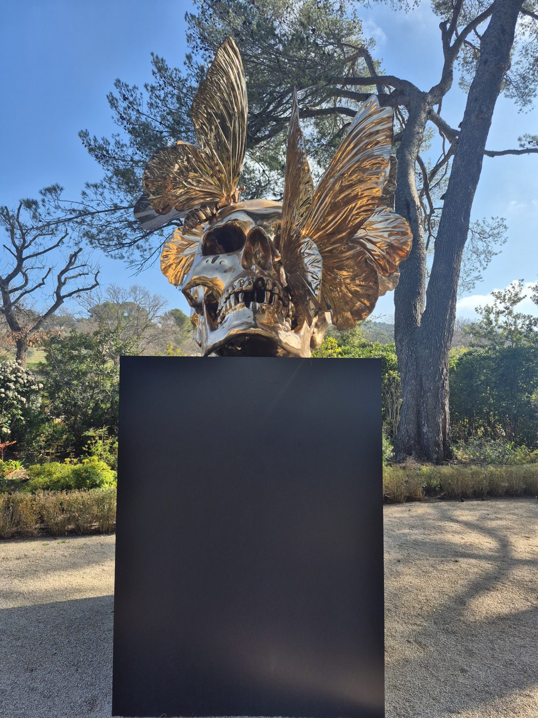 Vanité — Philippe Pasqua