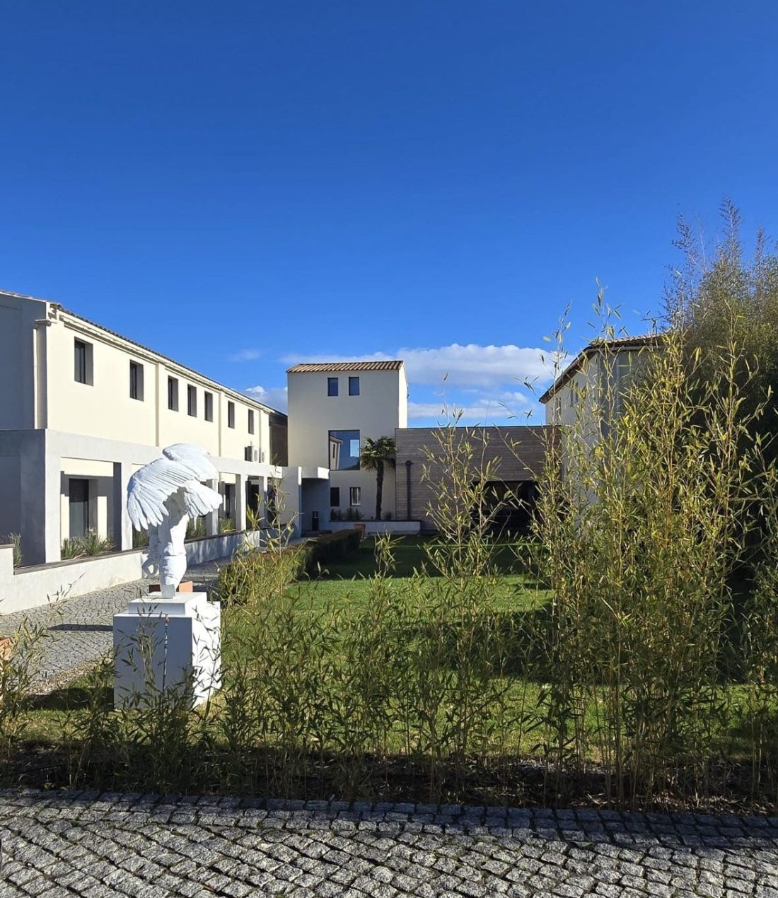 Le jardin et les restanques de la galerie GMG